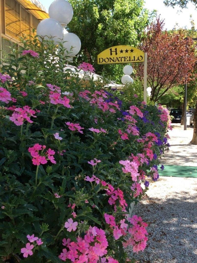 Hotel Donatello Cesenatico Exterior photo